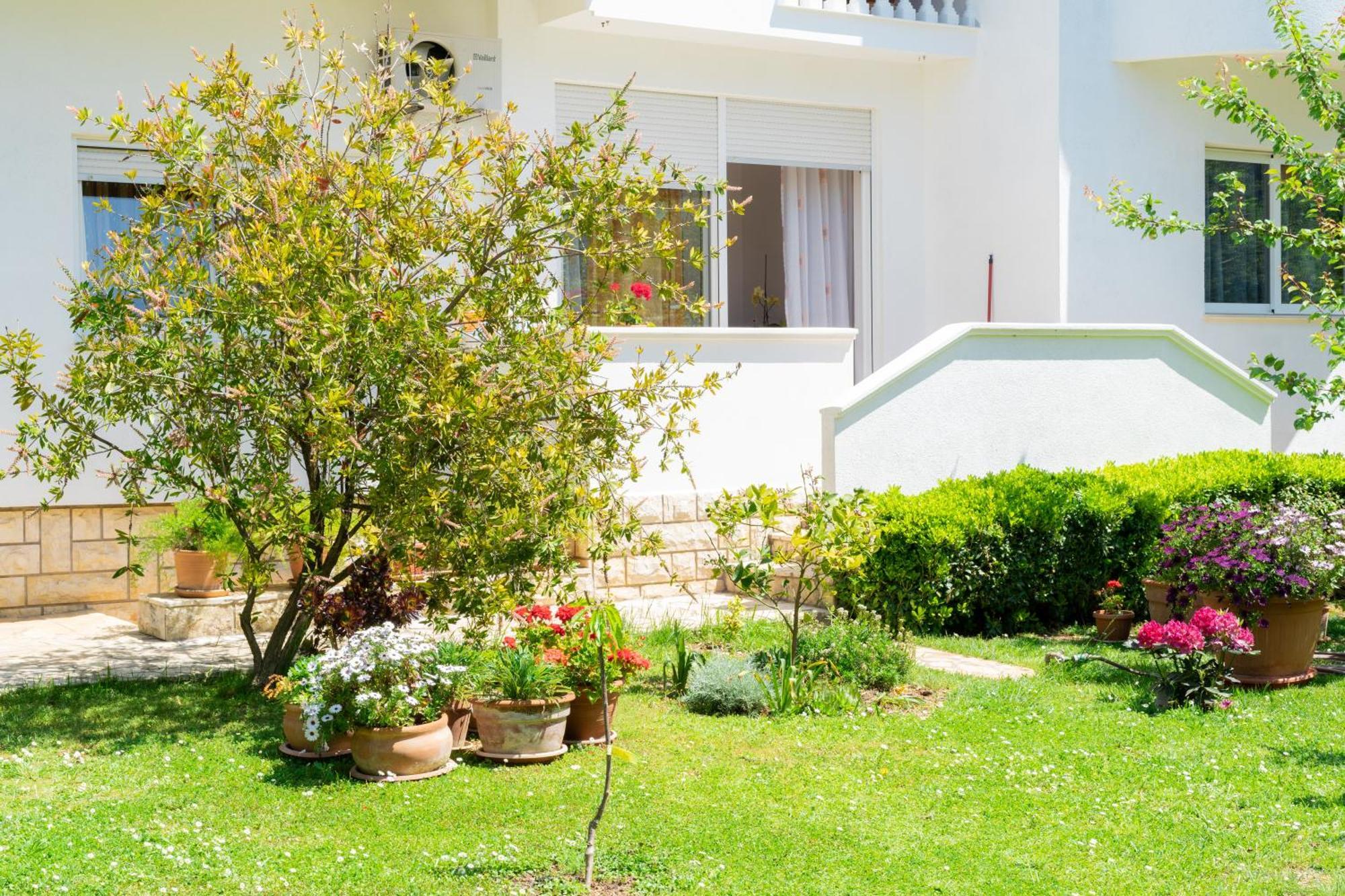 Apartment Manda Ζαντάρ Εξωτερικό φωτογραφία