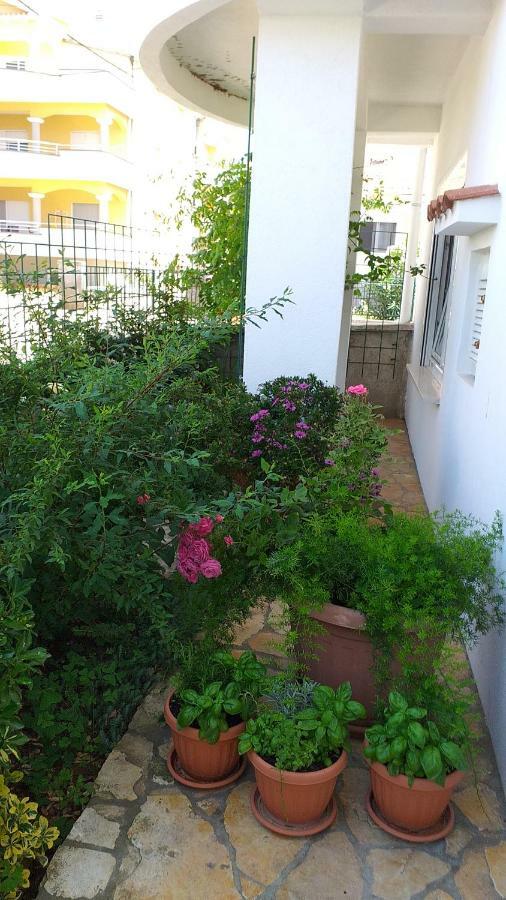 Apartment Manda Ζαντάρ Εξωτερικό φωτογραφία