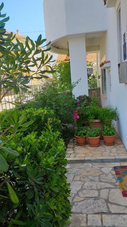 Apartment Manda Ζαντάρ Εξωτερικό φωτογραφία